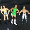 Image 3 : Lot of 7" Tall Wrestling Figures