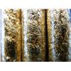 Image 2 : (4) Vials of Leaf Flake
