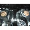 Image 9 : (9) Memorial Cents, 90's in Littleton Wrapper