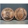 Image 2 : (2) Copper Rounds .999, Protect the Future
