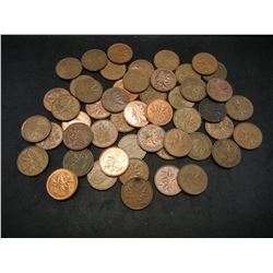 Lot of Wheat Cents, Mixed Dates