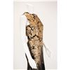 Image 7 : "Highland Rape" Black and Gold Dripping William Morris Print Dress AW 1995