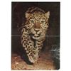 Image 1 : "The Hunger" Leopard Invitation SS 1996