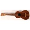 Image 2 : Kamaka Concert Ukulele White Label   (114369)