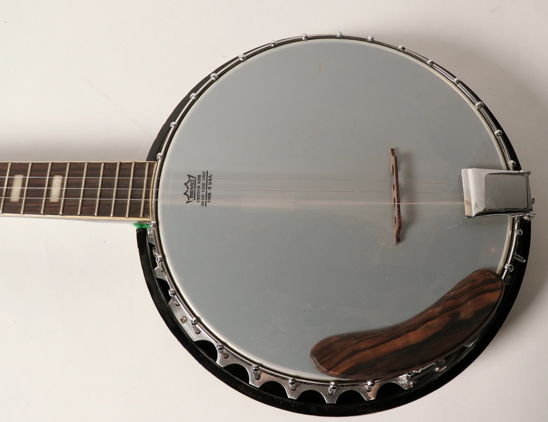 Orlando Banjo w/ Remo Weather King Banjo Head (114372) - Holabird ...