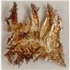 Image 1 : Crystalline Silver Specimen  (108127)