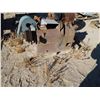Image 1 : Masco Pulverizers  (114247)
