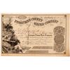 Image 1 : Tuolumne County Water Company Stock Certificate - Issued to San Joaquin Ditch Builder   (110951)