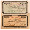 Image 1 : Arno Gold Mining Company Stock Certificates  (107861)