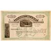 Image 1 : Narragansett Gold & Silver Mining Stock, Clear Creek, CO. 1883  (111401)