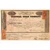 Image 1 : Gunnell Gold Company Stock Certificate  (107800)