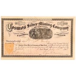 Cosmos Silver Mining Co of NY  (106603)