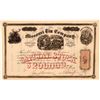 Image 1 : Missouri Tin Company Stock Certificate, 1871  (111328)