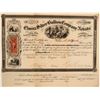 Image 1 : Elmira Silver Bullion Company of Nevada Stock Certificate  (106979)