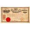 Image 1 : Mountain King Silver Mining Co Stock, Echo Dist. Humboldt Co., NV. 1868  (112875)