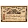 Image 1 : New York & South Twin River Mining Co Stock, Toiyable Range, Nevada, 1867  (111359)