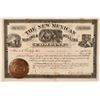 Image 1 : The New Mexican Mining & Milling Co Stock, Burro Mts. New Mexico  (111360)