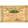 Image 1 : Southern Zinc Company Stock Certificate  (107775)