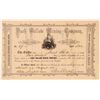 Image 1 : Dark Hollow Mining Company Stock Certificate  (107766)