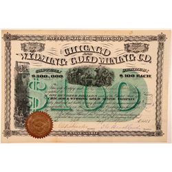 Chicago and Wyoming Gold Mining Co.  (110828)