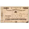 Image 1 : Cajon Irrigation Co. Stock Certificate, 1879  (111336)