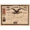 Image 1 : Sea Island Company Stock Certificate, New York, 1866  (111346)