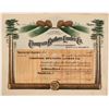 Image 1 : Thompson Brothers Lumber Co Stock Certificate, Doucette, TX. 1909  (111335)