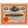 Image 1 : Parrott Carriage Manufacturing Co. Stock Certificate  (107759)