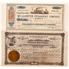 Image 1 : Two Different Willamette Steamer Stock Certificates  (107829)