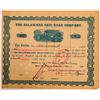 Image 1 : Delaware Rail Road Company Stock, 1890  (111025)
