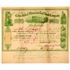 Image 1 : Cedar Falls & Minnesota Rail Road Co Stock Certificate, 1868  (111063)
