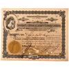 Image 1 : Davenport, Clinton & Eastern Railway Company Stock Certificate #1  (111048)