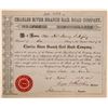 Image 1 : Charles River Branch Rail Road Co, 1853 Stock, Rare Uncancelled Example  (111260)