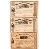Image 1 : Detroit, Monroe and Toledo Rail Road Stock Group (3), 1857, 1862  (111026)