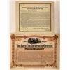 Image 1 : New York and New Jersey stocks  (112290)