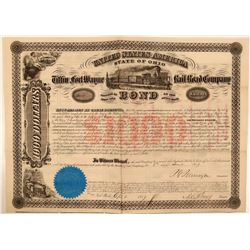Tiffin and Fort Wayne Rail Road Co  (112478)