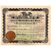 Image 1 : Chicago & Wisconsin Inland Lakes Railroad Stock, 1895  (111140)