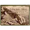 Image 1 : A Picture Story of The Cripple Creek Trip  (112117)