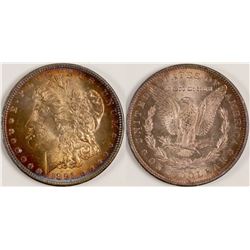 1891-CC Gem Morgan Dollar  (108130)