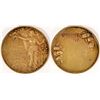 Image 1 : Apple Annual Gold Medal - Rare  (114117)