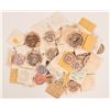 Image 1 : Bay Area Wooden Money.  (112292)