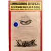 Image 1 : Commissioning Certificate of Brigadier General John W. Davidson  (59330)