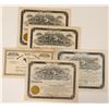 Image 1 : Western Cattle Stocks  (114341)
