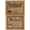Image 1 : Two Different Gray Eagle Mining Company Stock Certificates  (107870)