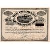 Image 1 : Colorado Mine Development Company Stock Certificate - Leadville  (110956)