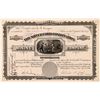 Image 1 : Silver Cord Combination Mining Company Stock - Leadville  (110959)