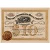 Image 1 : Chieftain Consolidated Mining Company Stock  (110958)