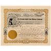Image 1 : Nevada Gold Coin Mining Co Stock Certificate, 1907  (111369)