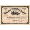 Image 1 : Consolidated Rolling Stock Co Stock Certificate, Connecticut, 1913  (111204)