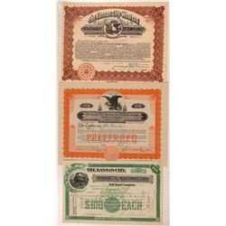Kansas railroad/railways stock  (112026)